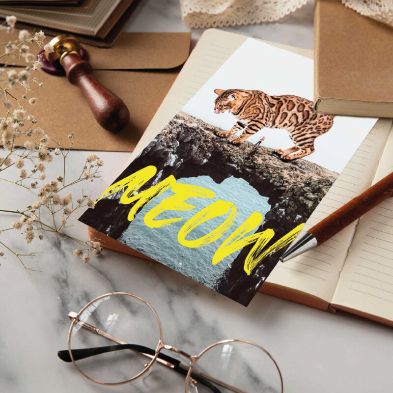 MEOW - Postkarte